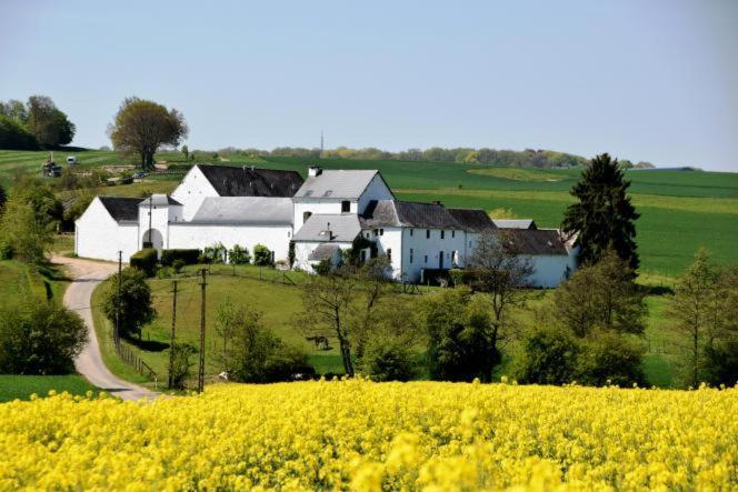 La Ferme De Basseilles Casa de hóspedes Mozet Exterior foto